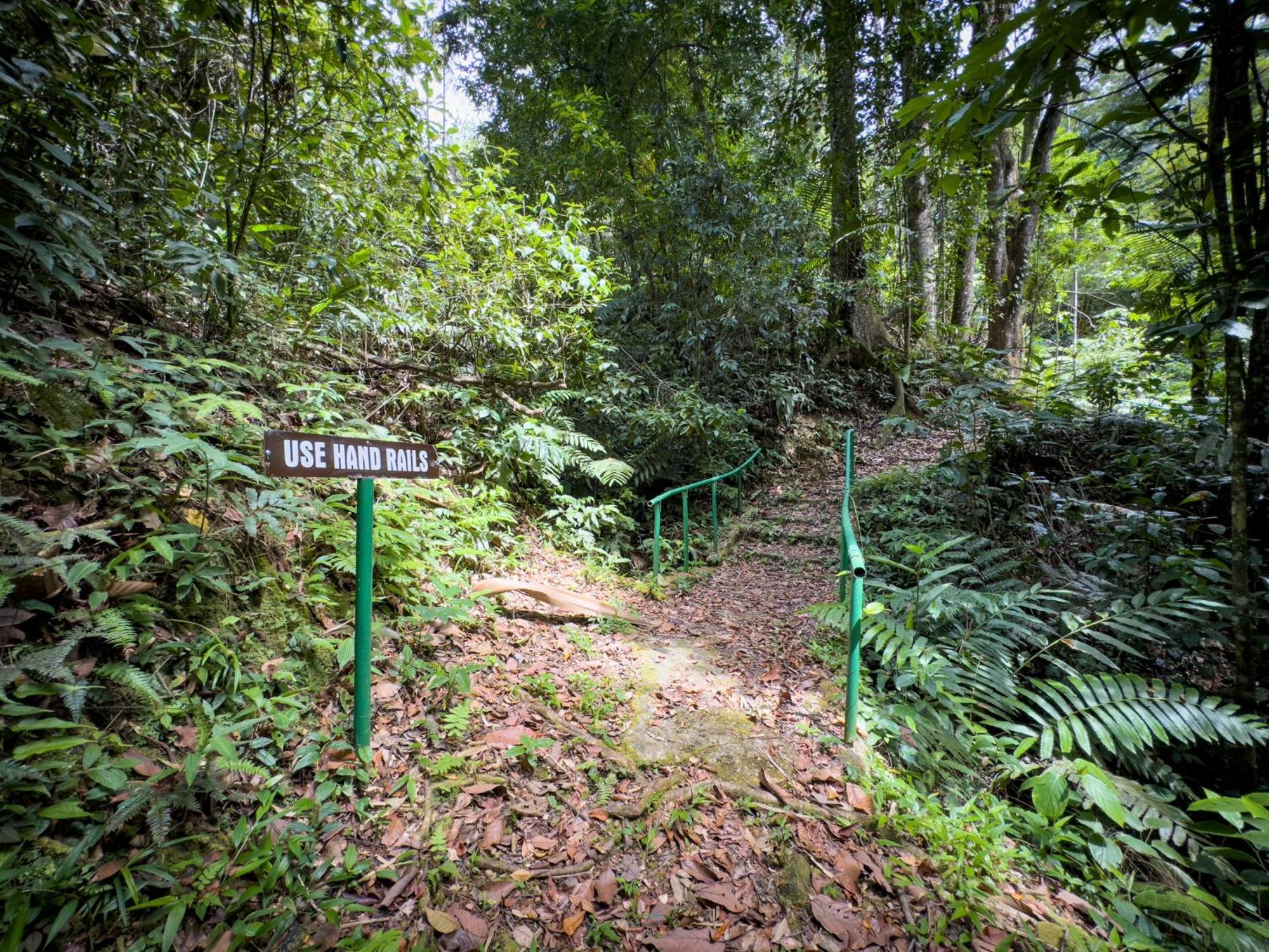 Hadco Experiences At Asa Wright Nature Centre Blanchisseuse المظهر الخارجي الصورة