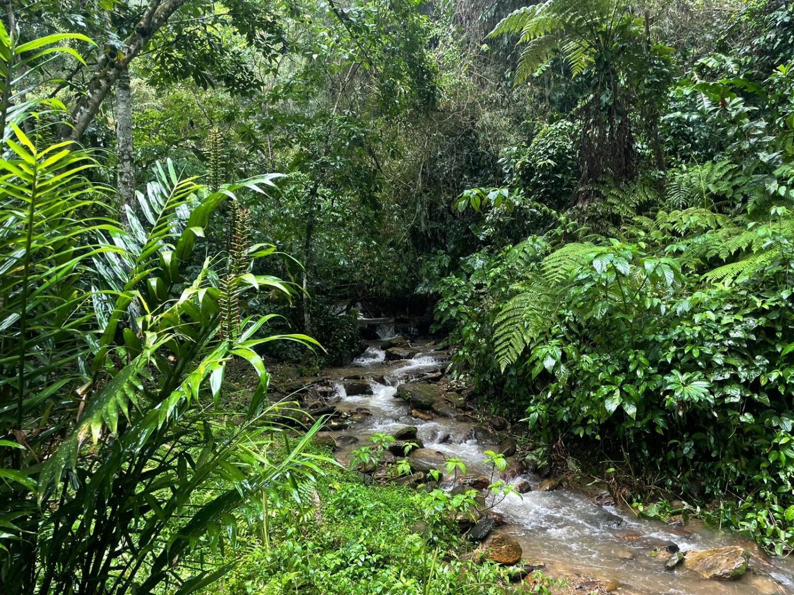 Hadco Experiences At Asa Wright Nature Centre Blanchisseuse المظهر الخارجي الصورة