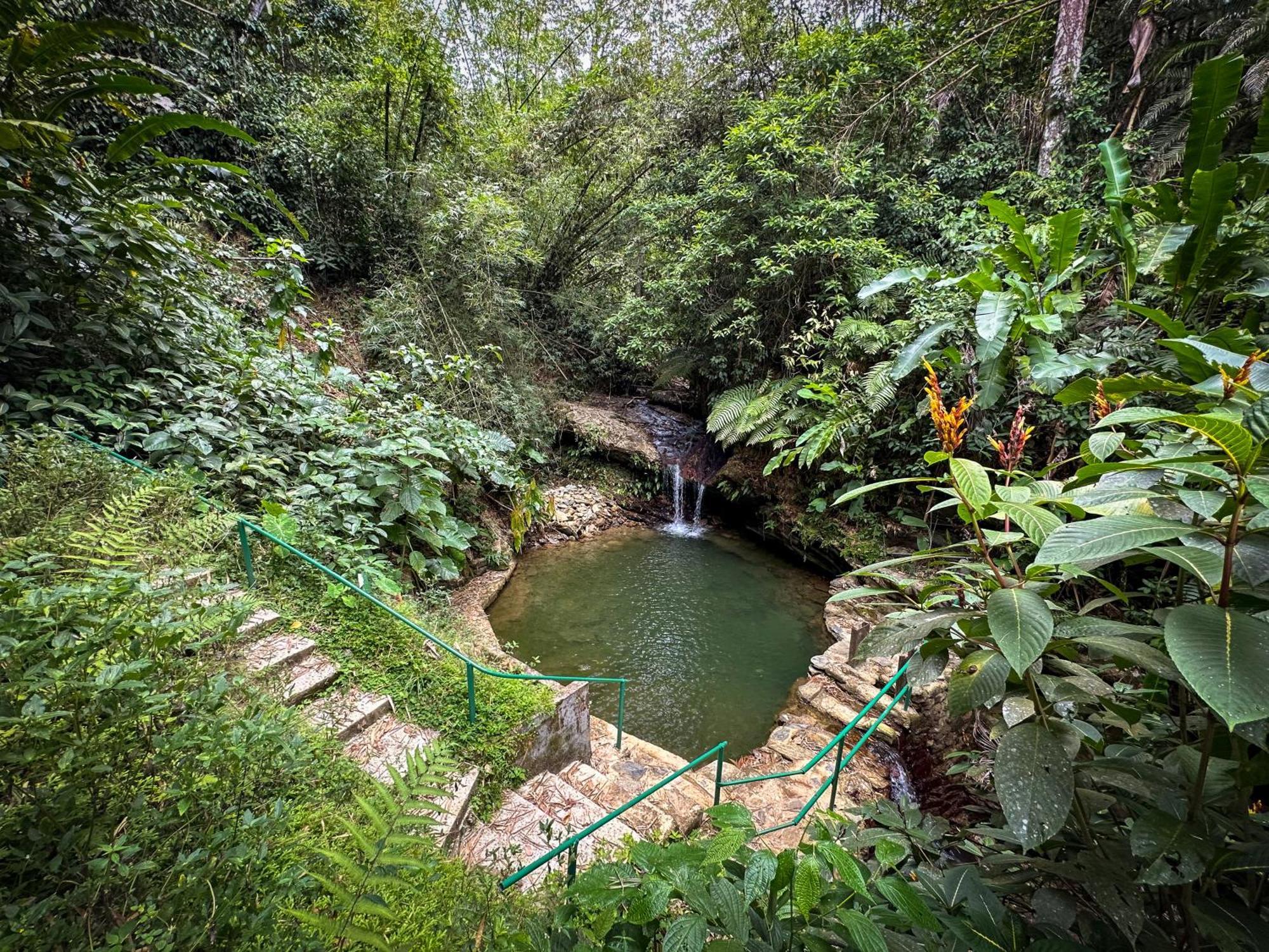 Hadco Experiences At Asa Wright Nature Centre Blanchisseuse المظهر الخارجي الصورة